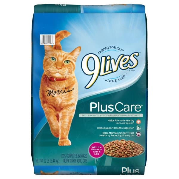 publix cat food sale